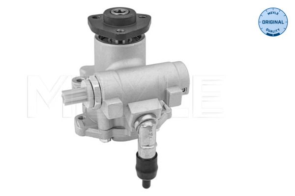 Hydraulikpumpe, Lenkung