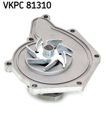 VKPC 81310_2.JPG