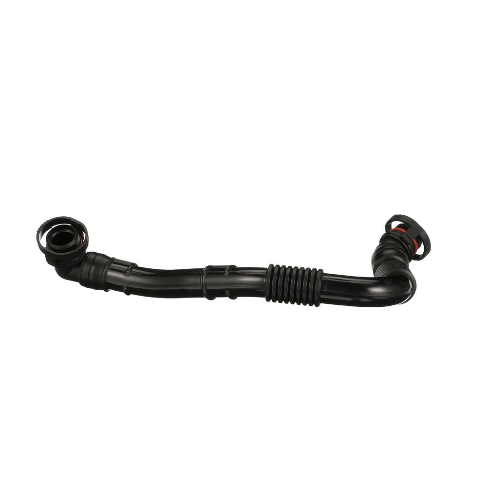 žarna, karterio alsuoklis