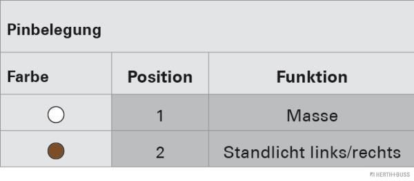 Anschlussleitung, Leuchte