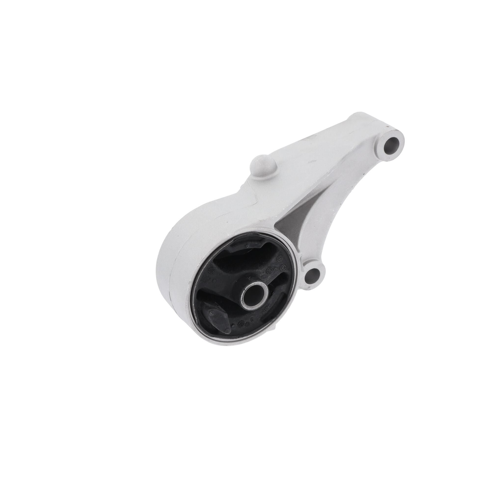 CORTECO 80000572 - Lagerung, Motor