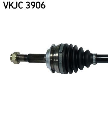 VKJC 3906_2.JPG