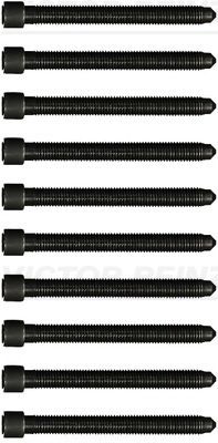 VICTOR REINZ 14-32052-01 Cylinder Head Bolt Set