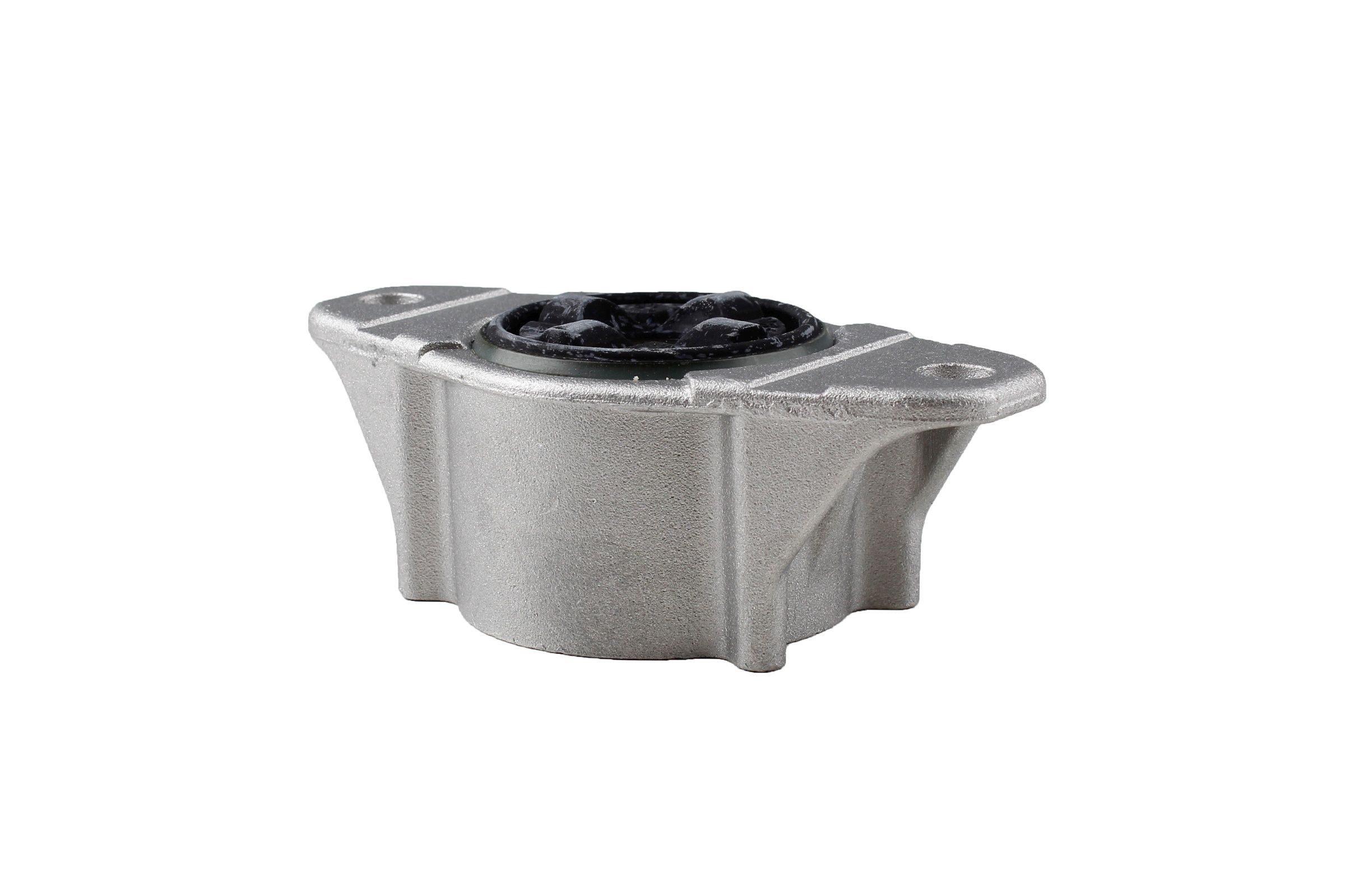 Federbeinstützlager