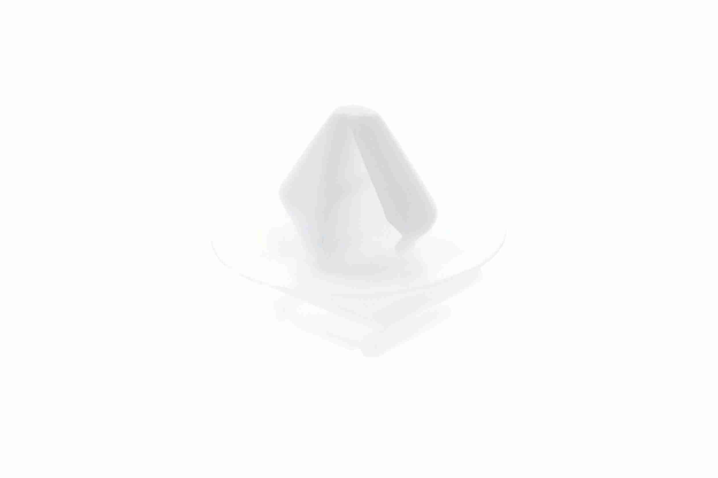 Halteclip, Türverkleidung Halteclip, Türverkleidung