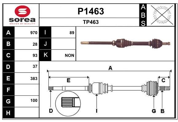 TRANS 407