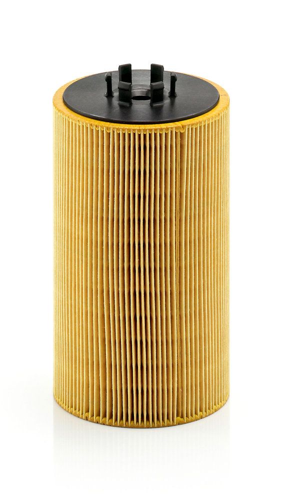 alyvos filtras