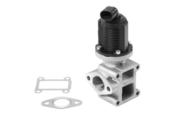 EGR Valve 710954R