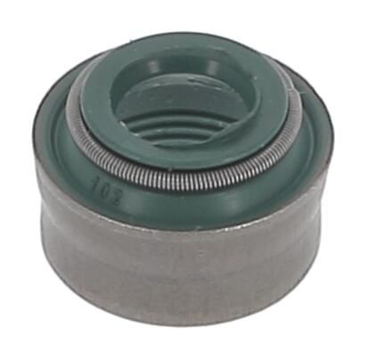 Dichtring, Ventilschaft