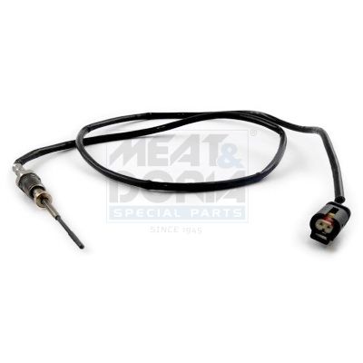 Sensor, Abgastemperatur