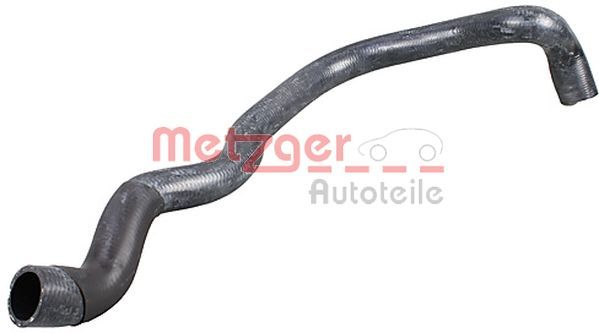 Radiator Hose 2420963