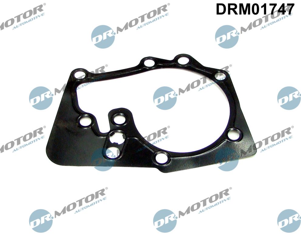 Dr.Motor Automotive DRM01747 - Dichtung, Wasserpumpe