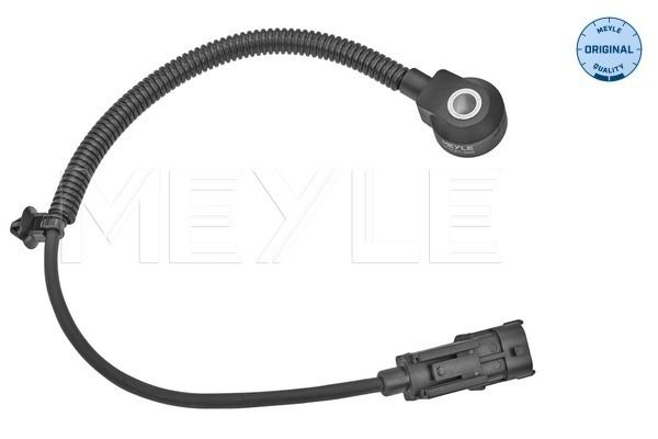 Klopfsensor