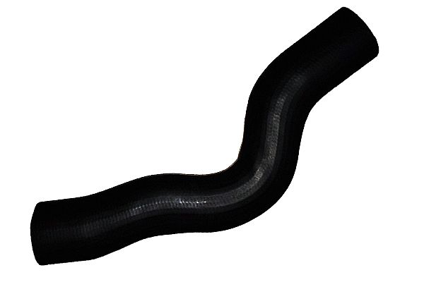 BUGIAD 88629 - Ladeluftschlauch