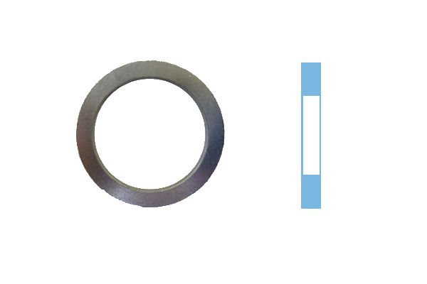 Уплотнительное кольцо, резьбовая пробка маслосливн. отверст. 005591S