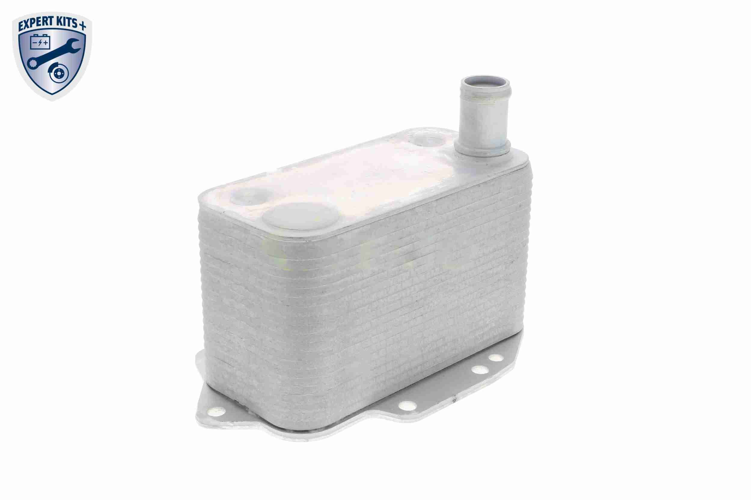 &Ouml;lk&uuml;hler, Motor&ouml;l