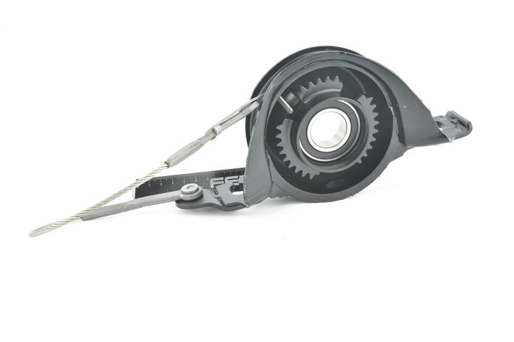 guolis, kardaninio veleno centrinis guolis