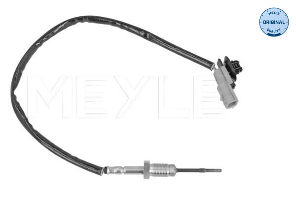 Sensor, Abgastemperatur