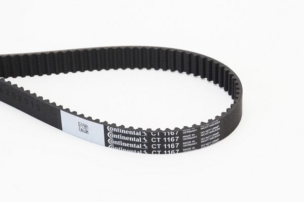 BELTPIC_CT1167.JPG