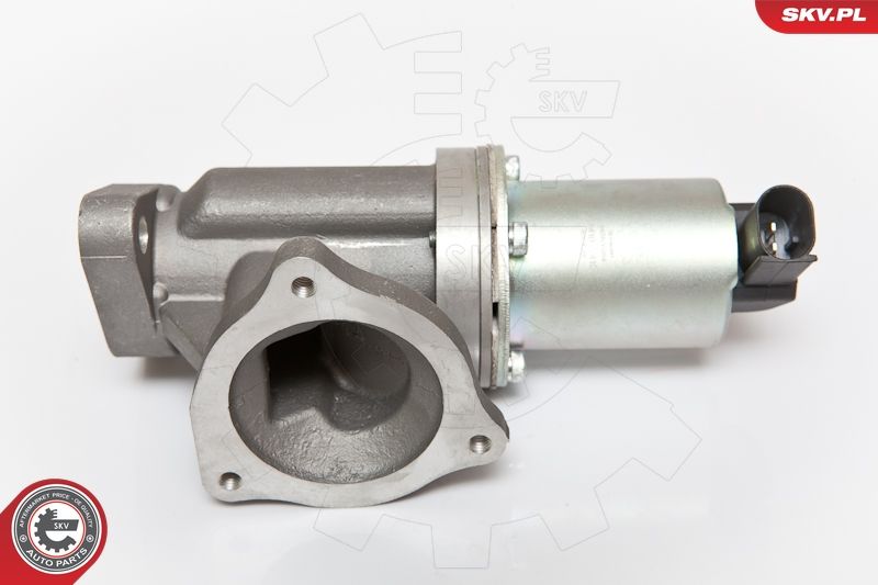 EGR Valve 14SKV054