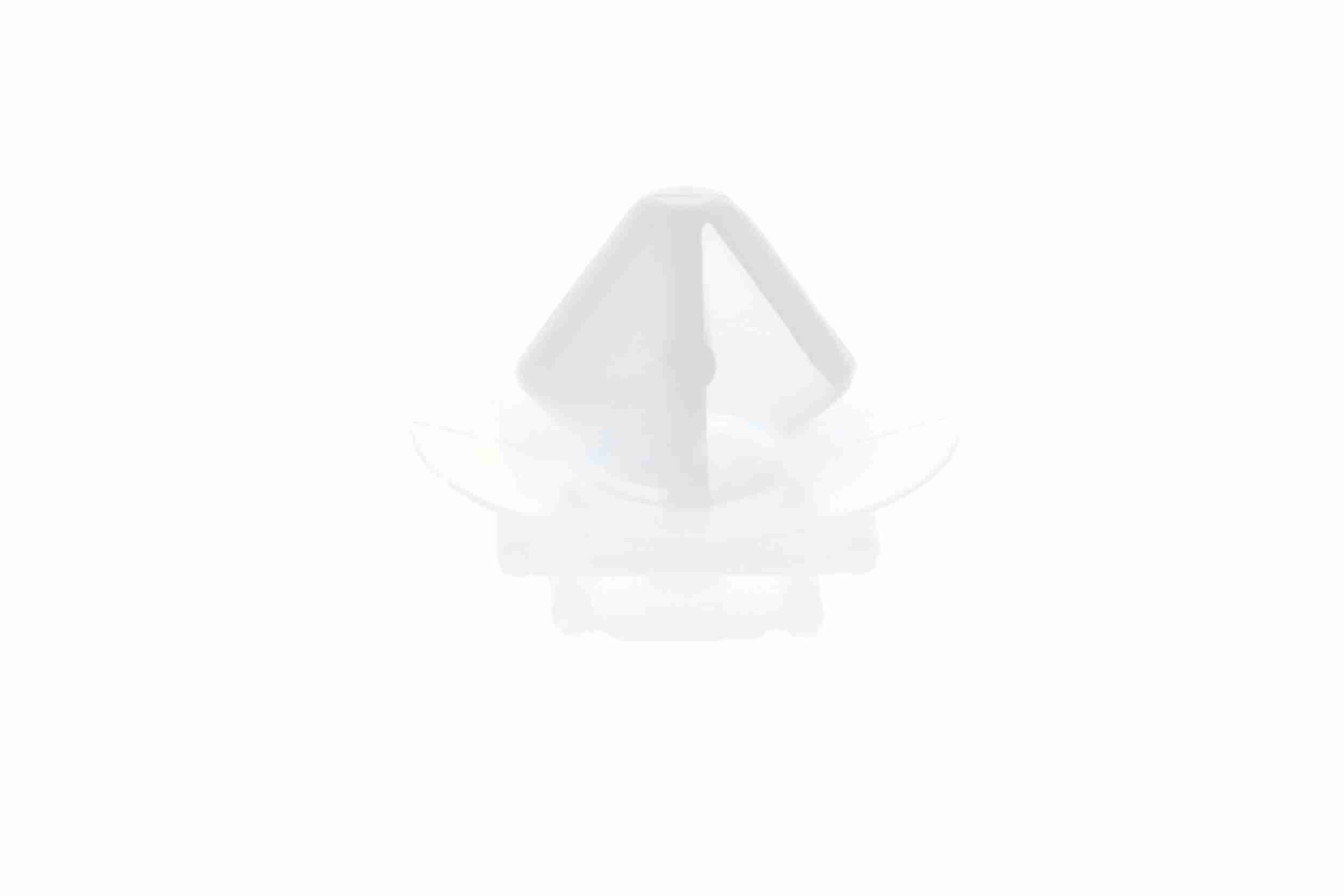 Halteclip, Türverkleidung Halteclip, Türverkleidung