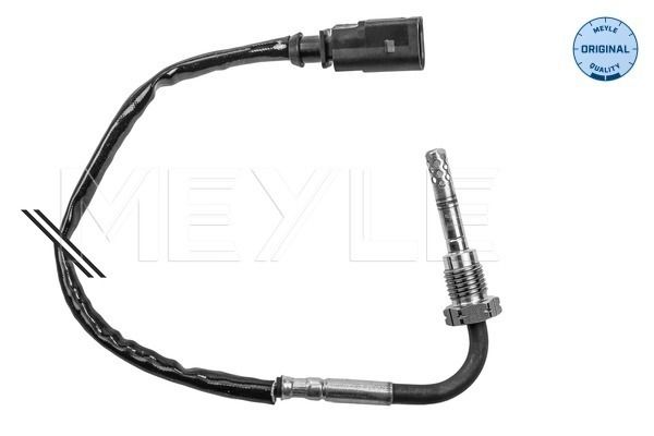 Sensor, Abgastemperatur