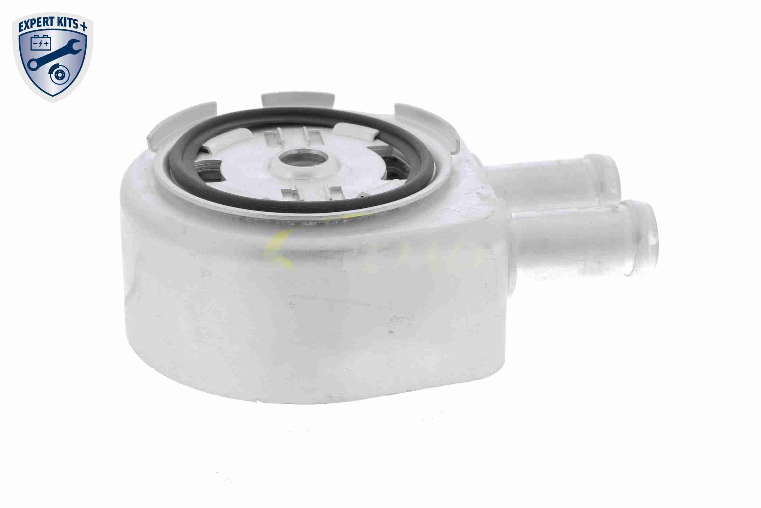 &Ouml;lk&uuml;hler, Motor&ouml;l