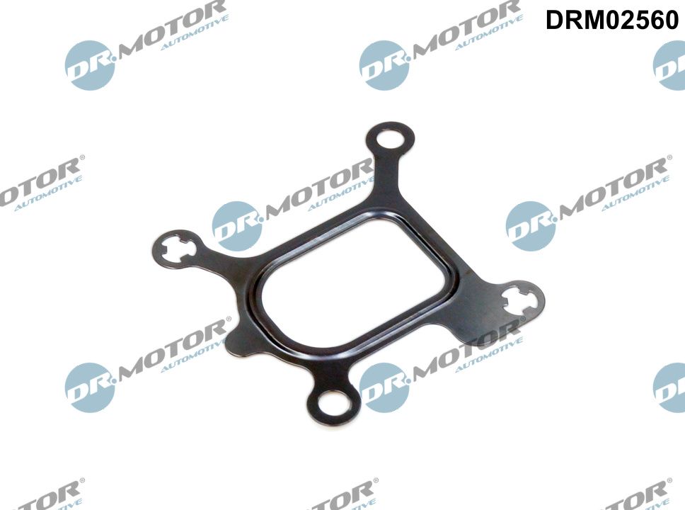 Dr.Motor Automotive DRM02560 - Dichtung, K&uuml;hlmittelflansch