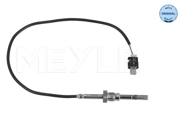 Sensor, Abgastemperatur