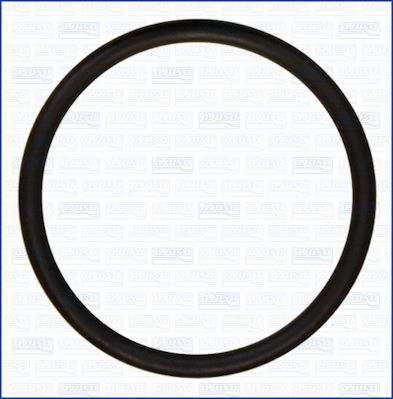 Dichtung, Thermostat