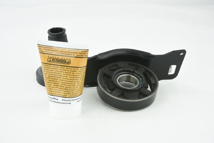 guolis, kardaninio veleno centrinis guolis