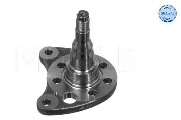 MEYLE 100 501 0012 Steering Knuckle, wheel suspension