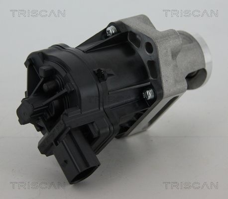8813 10006 TRISCAN AGR-szelep