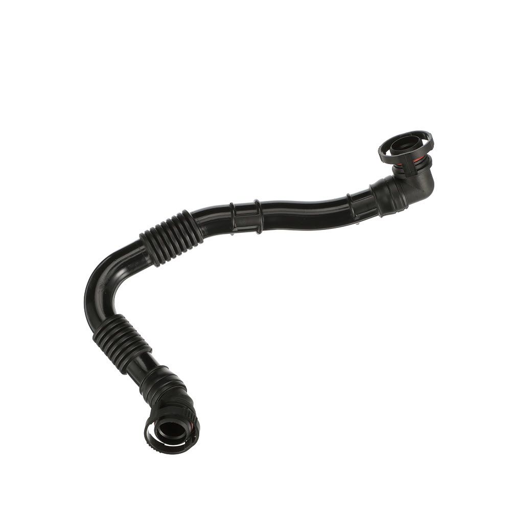 žarna, karterio alsuoklis