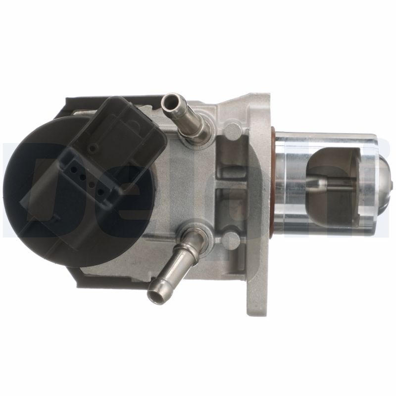 Delphi EG10468-12B1 - AGR-Ventil