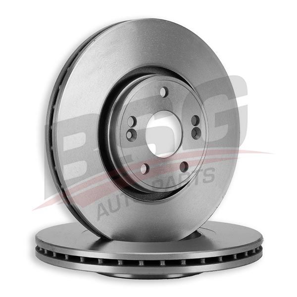 Remschijf 300mm (5 bijon)