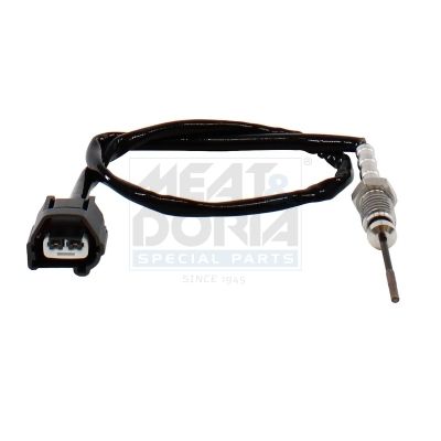 Sensor, Abgastemperatur