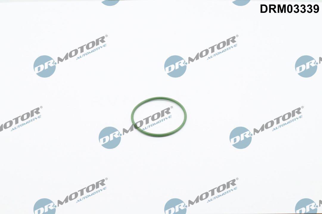 Dichtring
