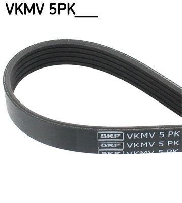 VKMV 5PK___.JPG