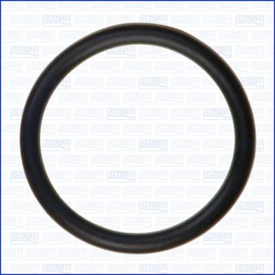 Dichtung, Thermostat