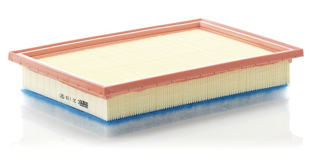 Air Filter C 31 116