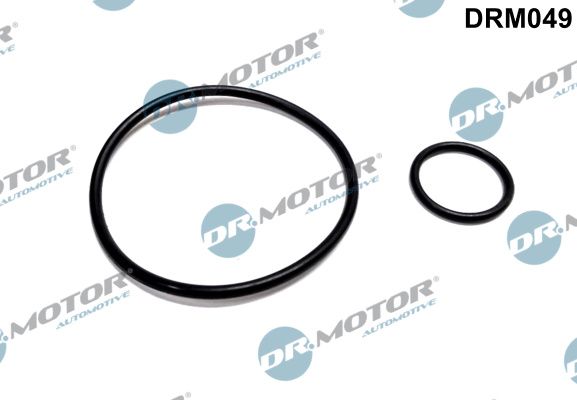 Dr.Motor Automotive DRM049 Seal Set, vacuum pump