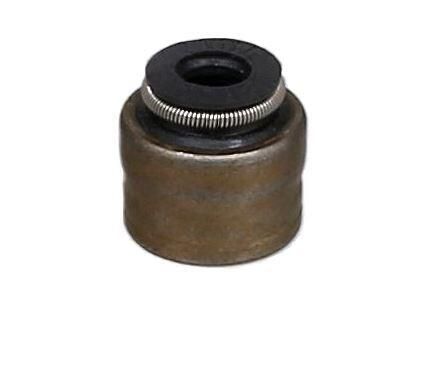 Dichtring, Ventilschaft