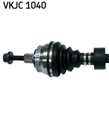 VKJC 1040_2.JPG