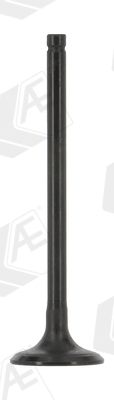 V95260 AE Szívószelep