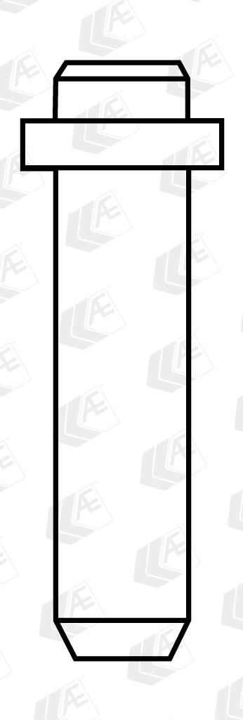 AE VAG92061B - Ventilf&uuml;hrung