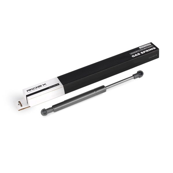 RIDEX 219G0234 Gas Spring, boot/cargo area