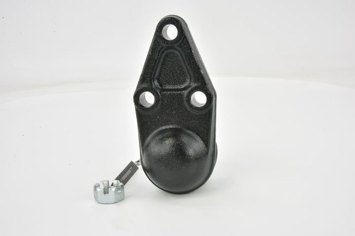 Šarnyras / girgždukas