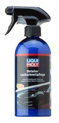 Lackversiegelung