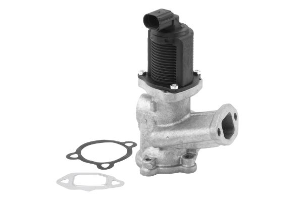 EGR Valve 710958R